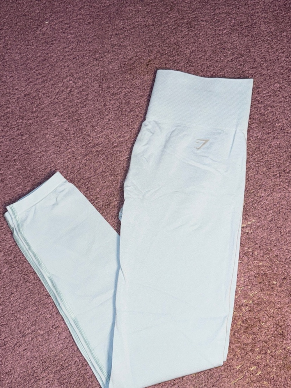 Gymshark Light Blue Performance Leggings